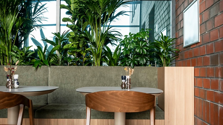 Lunch area