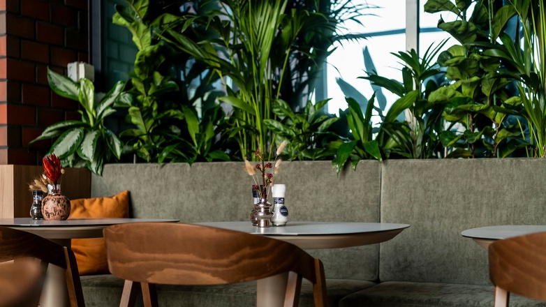 Lunch area