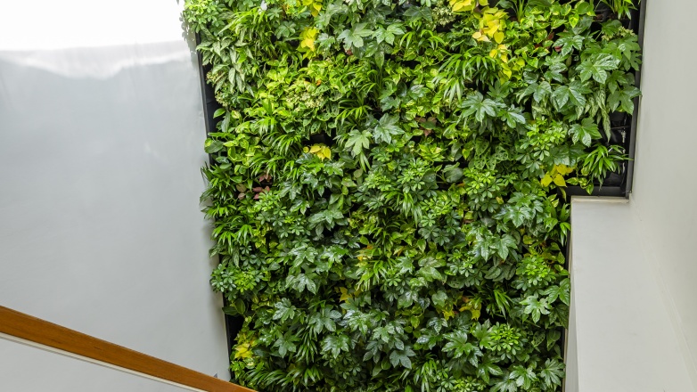 Foto 11 van Tommaso Albinonistraat 7 in Amsterdam