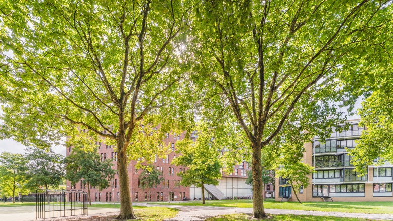 Foto 17 van Funenpark 1 C in Amsterdam