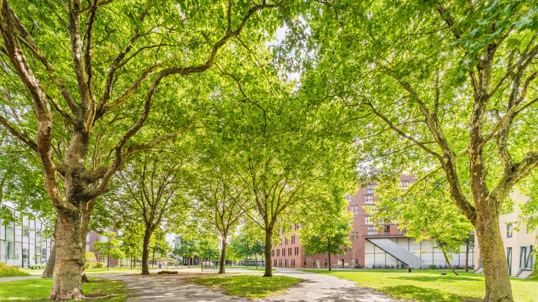 Foto 18 van Funenpark 1 C in Amsterdam