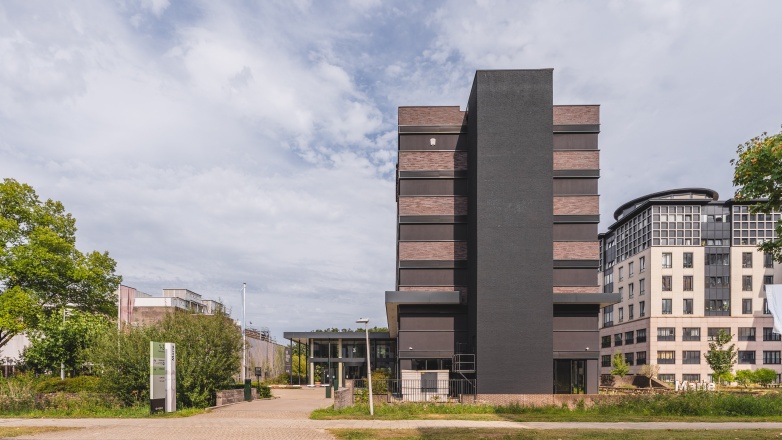 External