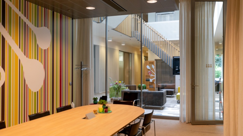 Foto 3 van De Lismortel 31 in Eindhoven