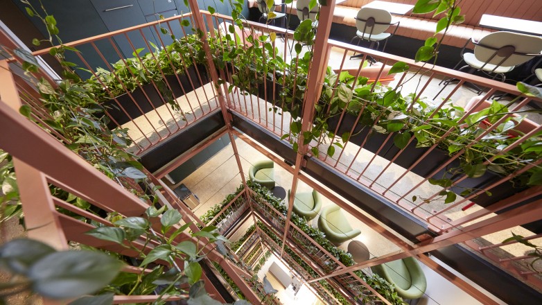 Green office space stairs 