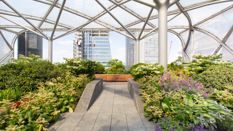 Garden Area