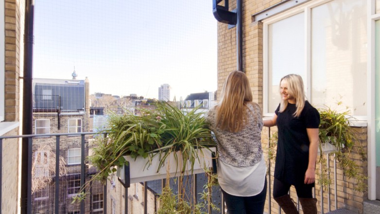 Roof terrace 