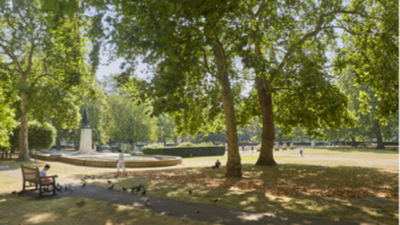 Green space Cavendish Square 