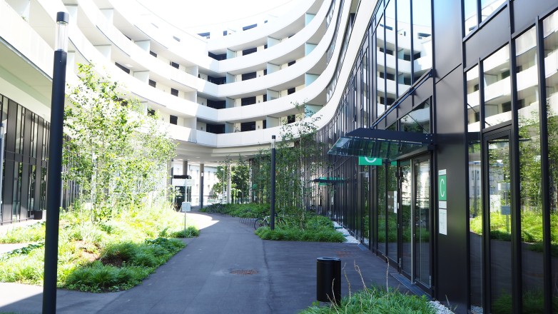 patio and entrance