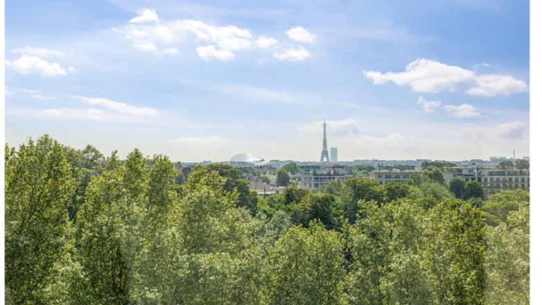 view from the office 