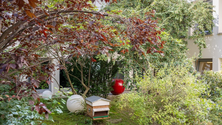 Garden 20 rue Quentin Bauchard