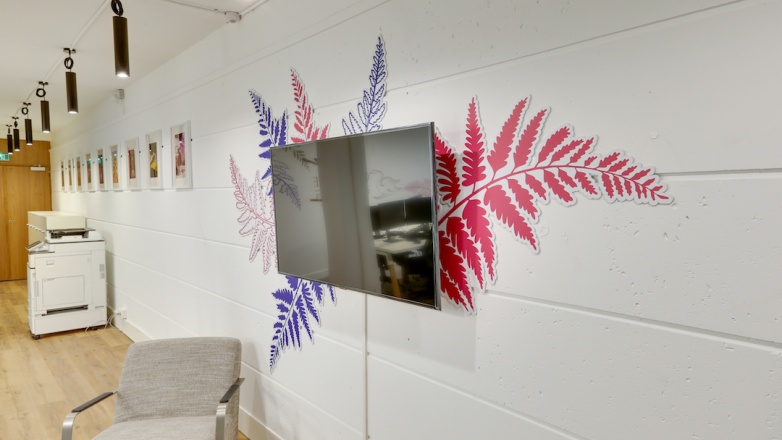 Television 24 Rue Cambacérès