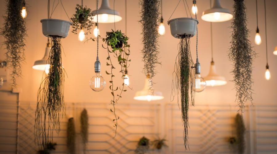 The importance of light in the office