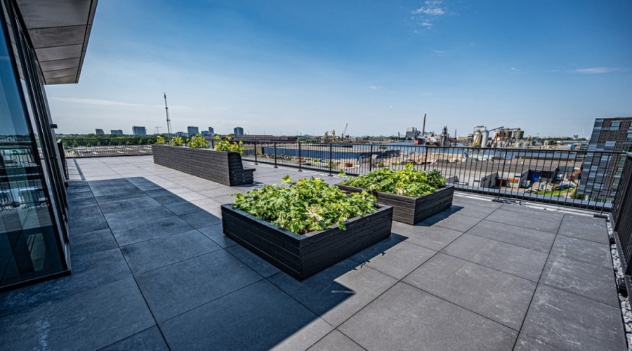 roof terrace at koivoitskade 60