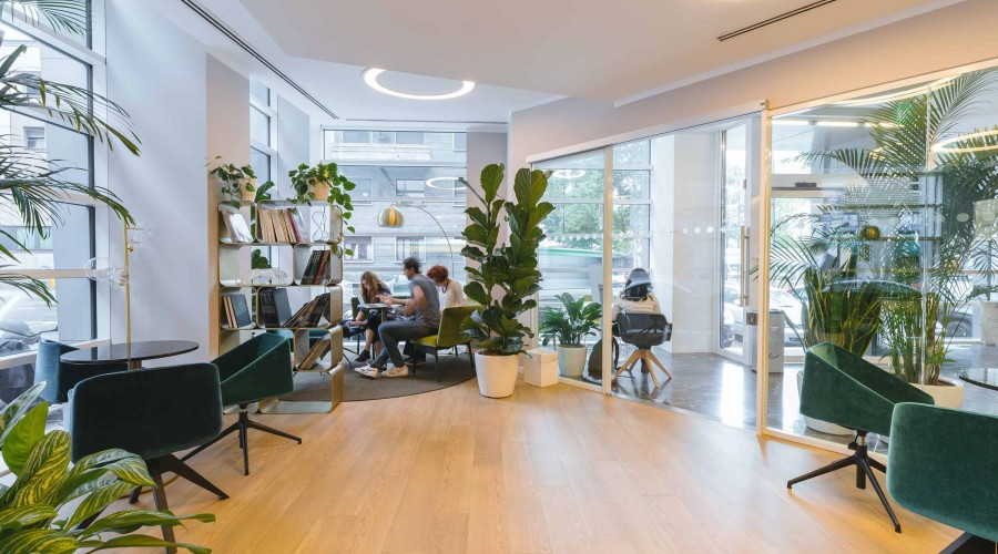 How to make your office more sustainable in 2024 - Top 5 methods!